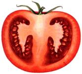 Tomaten Schnitt